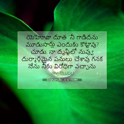 Picture 07 - సంఖ్యాకాండం 22:32 TELIRV - యెహోవా దూత “నీ - Bible Verse Picture