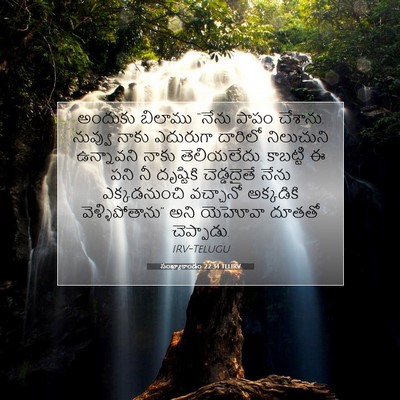 Picture 07 - సంఖ్యాకాండం 22:34 TELIRV - అందుకు బిలాము - Bible Verse Picture