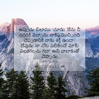 Picture 07 - సంఖ్యాకాండం 22:38 TELIRV - అప్పుడు బిలాము - Bible Verse Picture
