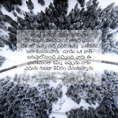 Picture 07 - సంఖ్యాకాండం 22:5 TELIRV - కాబట్టి అతడు - Bible Verse Picture