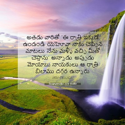Picture 07 - సంఖ్యాకాండం 22:8 TELIRV - అతడు వారితో “ఈ - Bible Verse Picture