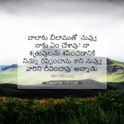 Picture 07 - సంఖ్యాకాండం 23:11 TELIRV - బాలాకు బిలాముతో - Bible Verse Picture