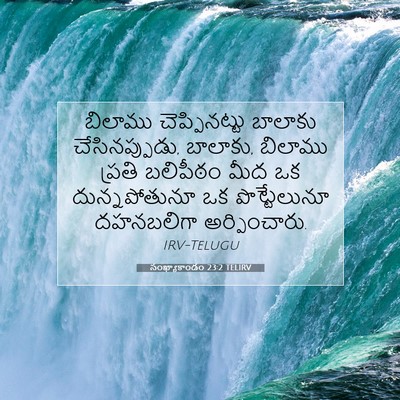 Picture 07 - సంఖ్యాకాండం 23:2 TELIRV - బిలాము - Bible Verse Picture