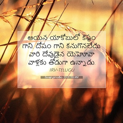 Picture 07 - సంఖ్యాకాండం 23:21 TELIRV - ఆయన యాకోబులో - Bible Verse Picture