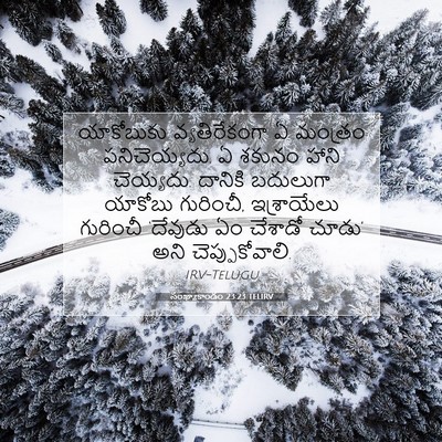 Picture 07 - సంఖ్యాకాండం 23:23 TELIRV - యాకోబుకు - Bible Verse Picture