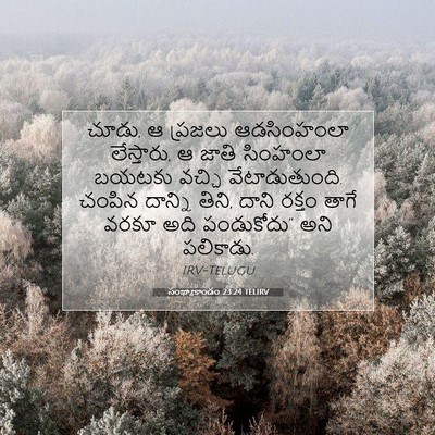 Picture 07 - సంఖ్యాకాండం 23:24 TELIRV - చూడు, ఆ ప్రజలు - Bible Verse Picture