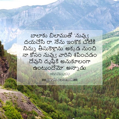 Picture 07 - సంఖ్యాకాండం 23:27 TELIRV - బాలాకు బిలాముతో - Bible Verse Picture
