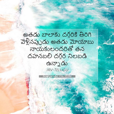 Picture 07 - సంఖ్యాకాండం 23:6 TELIRV - అతడు బాలాకు - Bible Verse Picture