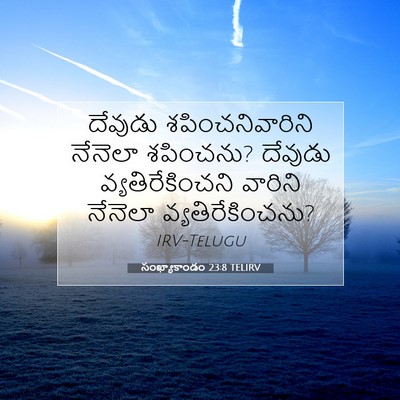 Picture 07 - సంఖ్యాకాండం 23:8 TELIRV - దేవుడు - Bible Verse Picture