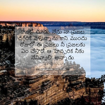 Picture 07 - సంఖ్యాకాండం 24:14 TELIRV - కాబట్టి, చూడు, నేను - Bible Verse Picture
