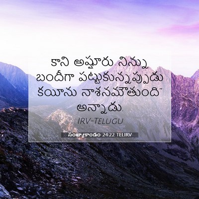 Picture 07 - సంఖ్యాకాండం 24:22 TELIRV - కాని అష్షూరు - Bible Verse Picture