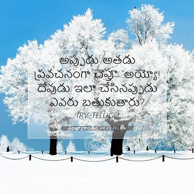 Picture 07 - సంఖ్యాకాండం 24:23 TELIRV - అప్పుడు అతడు - Bible Verse Picture