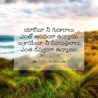 Picture 07 - సంఖ్యాకాండం 24:5 TELIRV - యాకోబూ, నీ - Bible Verse Picture