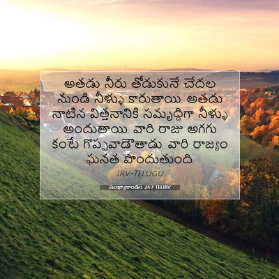 Picture 07 - సంఖ్యాకాండం 24:7 TELIRV - అతడు నీరు - Bible Verse Picture