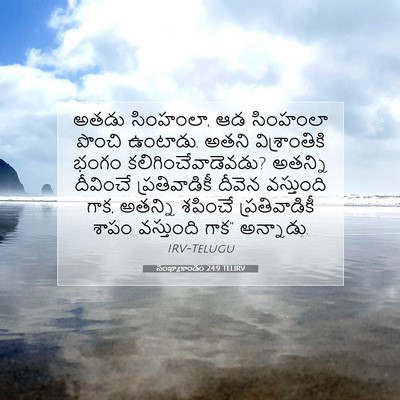 Picture 07 - సంఖ్యాకాండం 24:9 TELIRV - అతడు సింహంలా, ఆడ - Bible Verse Picture