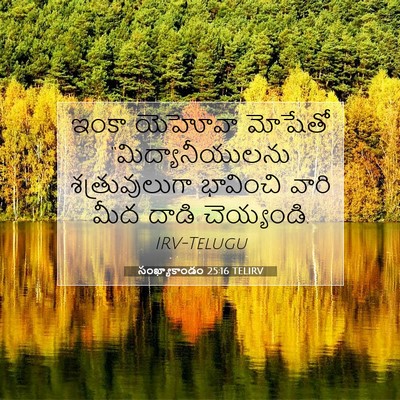 Picture 07 - సంఖ్యాకాండం 25:16 TELIRV - ఇంకా యెహోవా - Bible Verse Picture