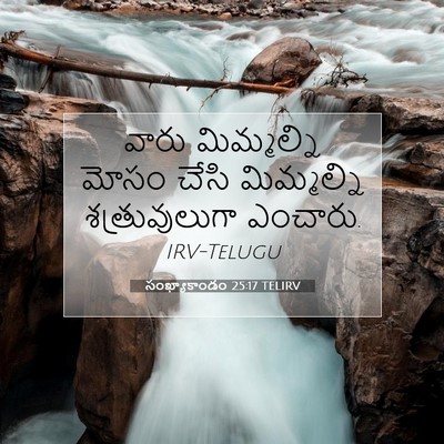 Picture 07 - సంఖ్యాకాండం 25:17 TELIRV - వారు మిమ్మల్ని - Bible Verse Picture