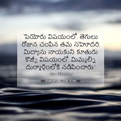Picture 07 - సంఖ్యాకాండం 25:18 TELIRV - పెయోరు విషయంలో, - Bible Verse Picture