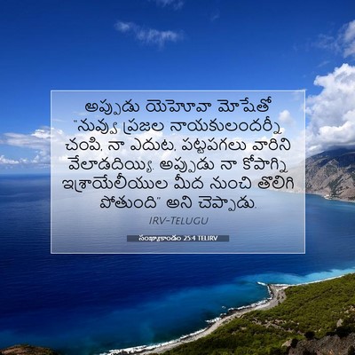 Picture 07 - సంఖ్యాకాండం 25:4 TELIRV - అప్పుడు యెహోవా - Bible Verse Picture