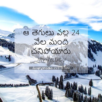 Picture 07 - సంఖ్యాకాండం 25:9 TELIRV - ఆ తెగులు వల్ల 24 వేల - Bible Verse Picture