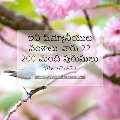 Picture 07 - సంఖ్యాకాండం 26:14 TELIRV - ఇవి షిమ్యోనీయుల - Bible Verse Picture