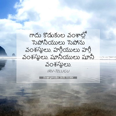 Picture 07 - సంఖ్యాకాండం 26:15 TELIRV - గాదు కొడుకుల - Bible Verse Picture
