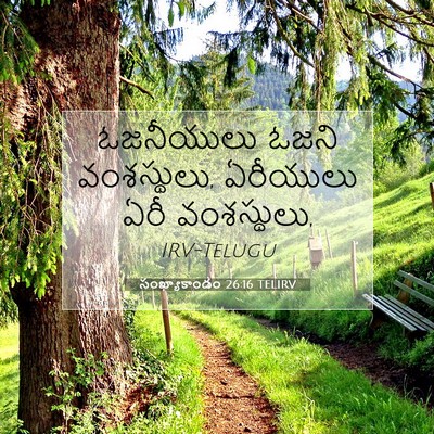 Picture 07 - సంఖ్యాకాండం 26:16 TELIRV - ఓజనీయులు ఓజని - Bible Verse Picture