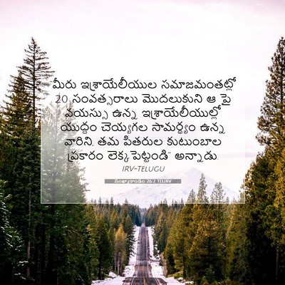 Picture 07 - సంఖ్యాకాండం 26:2 TELIRV - “మీరు - Bible Verse Picture