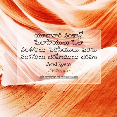 Picture 07 - సంఖ్యాకాండం 26:20 TELIRV - యూదావారి వంశాల్లో - Bible Verse Picture