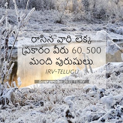 Picture 07 - సంఖ్యాకాండం 26:27 TELIRV - రాసిన వారి లెక్క - Bible Verse Picture