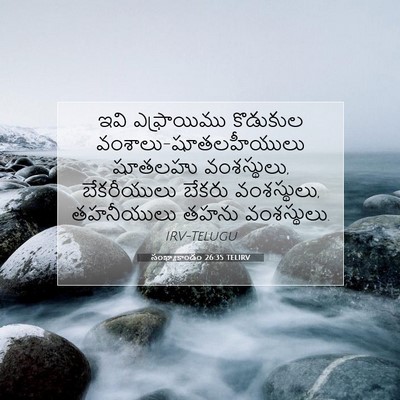 Picture 07 - సంఖ్యాకాండం 26:35 TELIRV - ఇవి ఎఫ్రాయిము - Bible Verse Picture