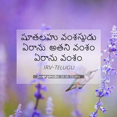 Picture 07 - సంఖ్యాకాండం 26:36 TELIRV - షూతలహు వంశస్థుడు - Bible Verse Picture