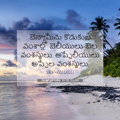 Picture 07 - సంఖ్యాకాండం 26:38 TELIRV - బెన్యామీను - Bible Verse Picture