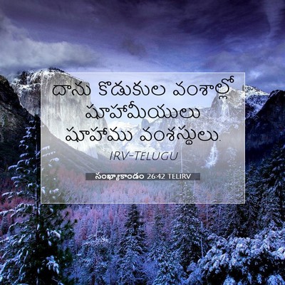 Picture 07 - సంఖ్యాకాండం 26:42 TELIRV - దాను కొడుకుల - Bible Verse Picture