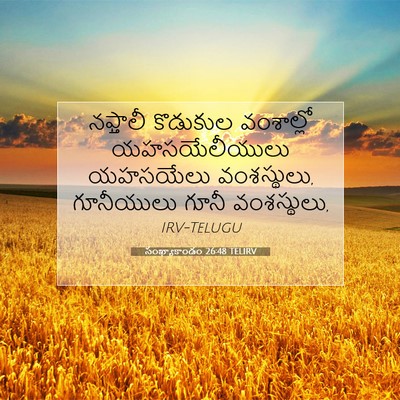 Picture 07 - సంఖ్యాకాండం 26:48 TELIRV - నఫ్తాలీ కొడుకుల - Bible Verse Picture