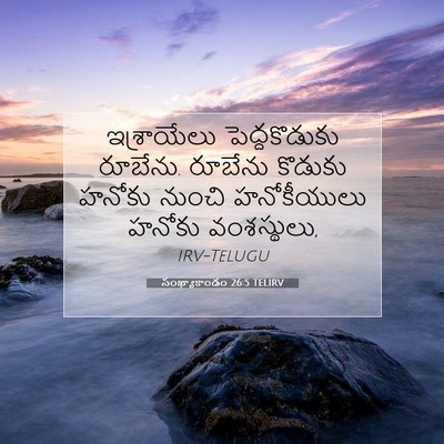 Picture 07 - సంఖ్యాకాండం 26:5 TELIRV - ఇశ్రాయేలు - Bible Verse Picture
