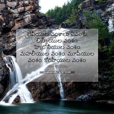 Picture 07 - సంఖ్యాకాండం 26:58 TELIRV - లేవీయుల వంశాలు - Bible Verse Picture