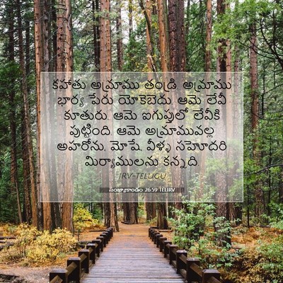 Picture 07 - సంఖ్యాకాండం 26:59 TELIRV - కహాతు అమ్రాము - Bible Verse Picture