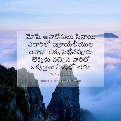 Picture 07 - సంఖ్యాకాండం 26:64 TELIRV - మోషే అహరోనులు - Bible Verse Picture