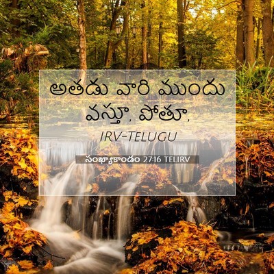 Picture 07 - సంఖ్యాకాండం 27:16 TELIRV - అతడు వారి ముందు - Bible Verse Picture