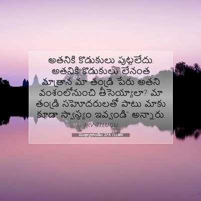 Picture 07 - సంఖ్యాకాండం 27:4 TELIRV - అతనికి కొడుకులు - Bible Verse Picture