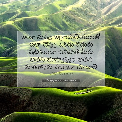 Picture 07 - సంఖ్యాకాండం 27:8 TELIRV - ఇంకా నువ్వు - Bible Verse Picture