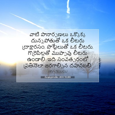 Picture 07 - సంఖ్యాకాండం 28:14 TELIRV - వాటి పానార్పణలు - Bible Verse Picture