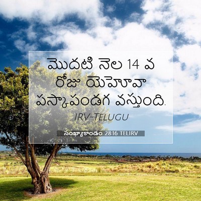 Picture 07 - సంఖ్యాకాండం 28:16 TELIRV - మొదటి నెల 14 వ రోజు - Bible Verse Picture