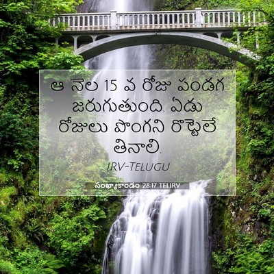 Picture 07 - సంఖ్యాకాండం 28:17 TELIRV - ఆ నెల 15 వ రోజు పండగ - Bible Verse Picture