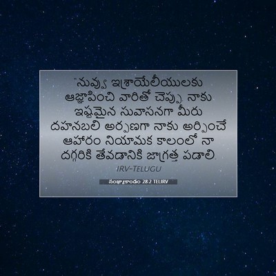 Picture 07 - సంఖ్యాకాండం 28:2 TELIRV - “నువ్వు - Bible Verse Picture