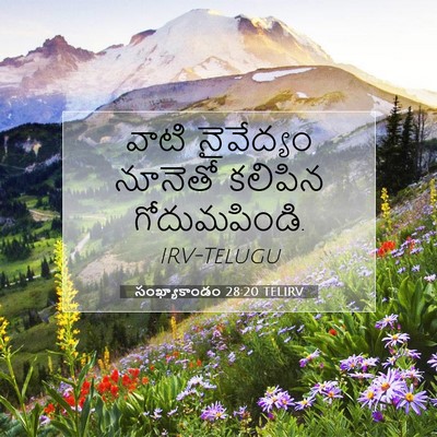 Picture 07 - సంఖ్యాకాండం 28:20 TELIRV - వాటి నైవేద్యం - Bible Verse Picture