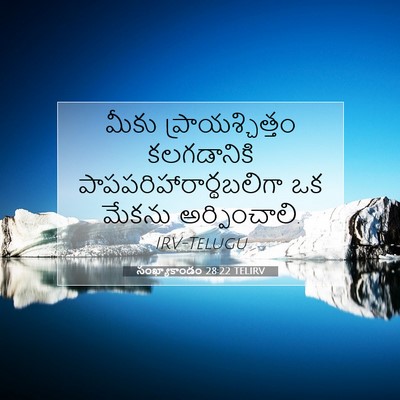 Picture 07 - సంఖ్యాకాండం 28:22 TELIRV - మీకు - Bible Verse Picture