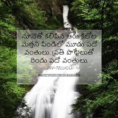 Picture 07 - సంఖ్యాకాండం 28:28 TELIRV - నూనెతో కలిపిన ఆరు - Bible Verse Picture