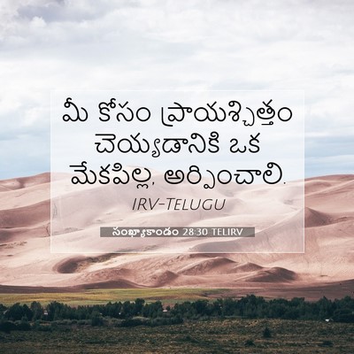 Picture 07 - సంఖ్యాకాండం 28:30 TELIRV - మీ కోసం - Bible Verse Picture